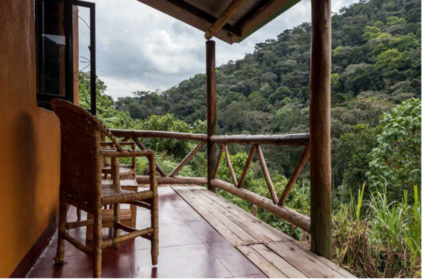 Gorilla Valley Lodge