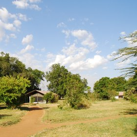 Accommodation in Mara Porini Lion Camp