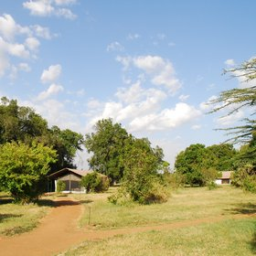 Porini Lion Camp