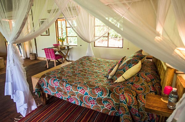 Volcanoes Safari Lodge Bwindi