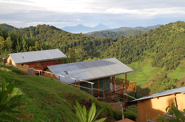 Accommodation Ruhija - Bwindi Bakiga Lodge Bwindi