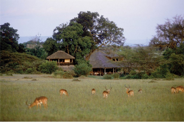 Masai Mara Accommodation Base Camp Maasai Mara