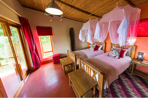 Lodges in Bwindi Chameleon Hill Lodge