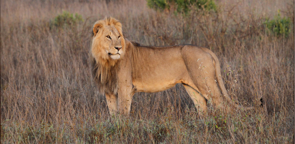 Laikipia Kenya