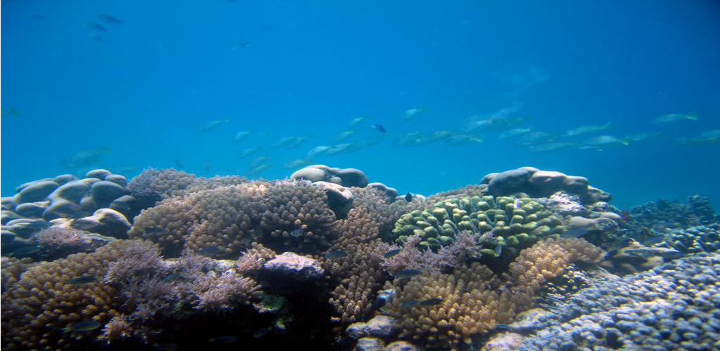 Kenya Coast