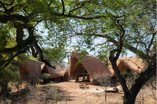 Mwagusi Safari Camp