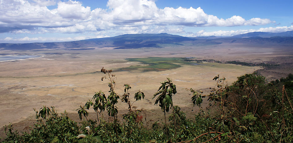 Ngorongoro Crater Tanzania Ngorongoro Crater