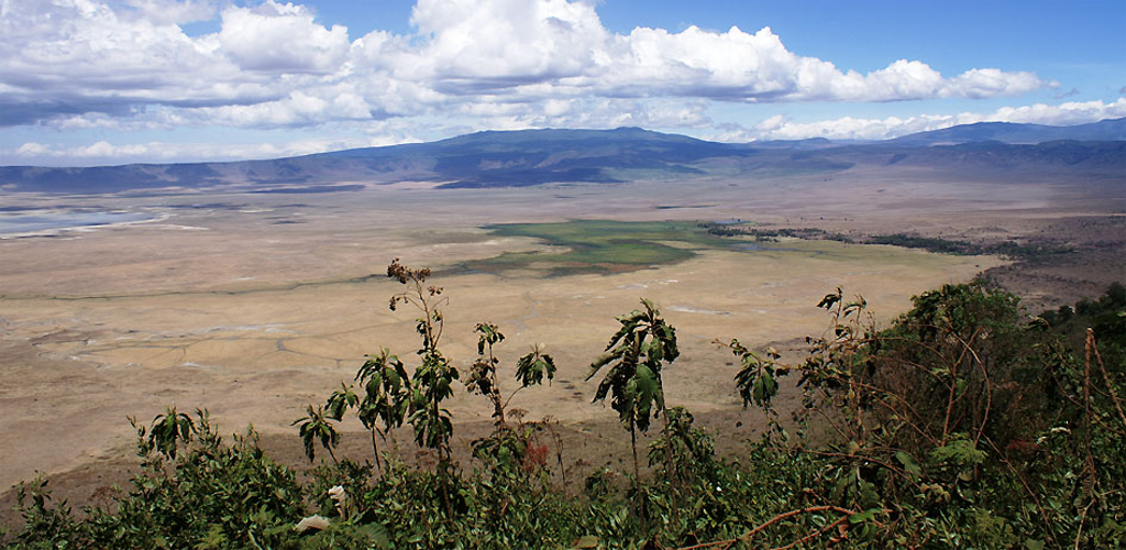 Ngorongoro Crater