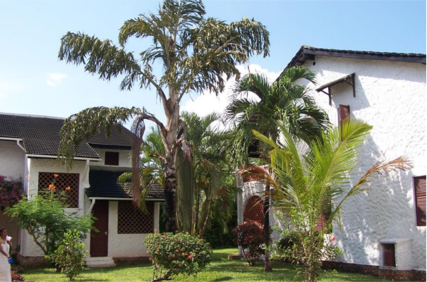 Mombasa South Accommodation Pinewood Village Boutique Hotel Mombasa