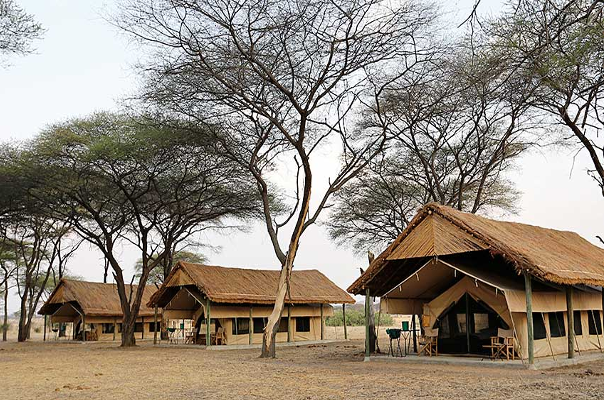 Ruaha Park Lodges Ruaha Flycatcher Camp