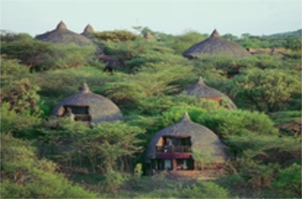 Serengeti Accommodation Serena Serengeti
