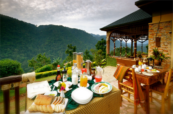 Bwindi Lodge - Buhoma Silverback Lodge Bwindi