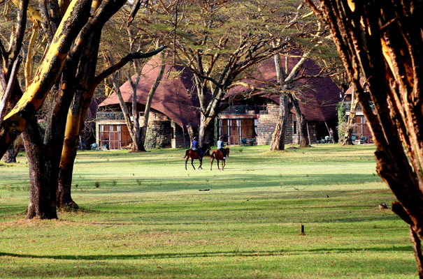 Naivasha accommodation Lake Naivasha Sopa Lodge