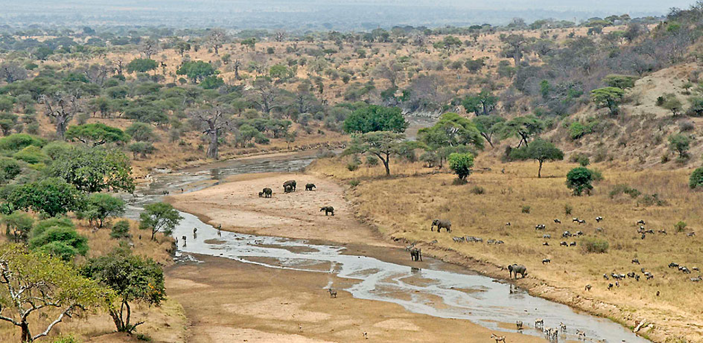 Tanzania Safaris Visit Tanzania