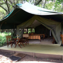 Elephant Pepper Camp