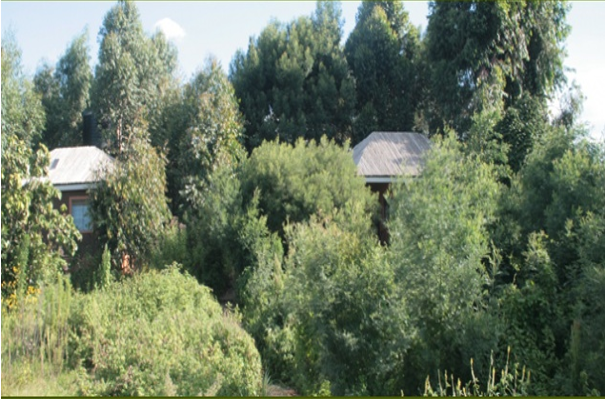 Ruhija Bwindi accommodation Trekkers Tavern